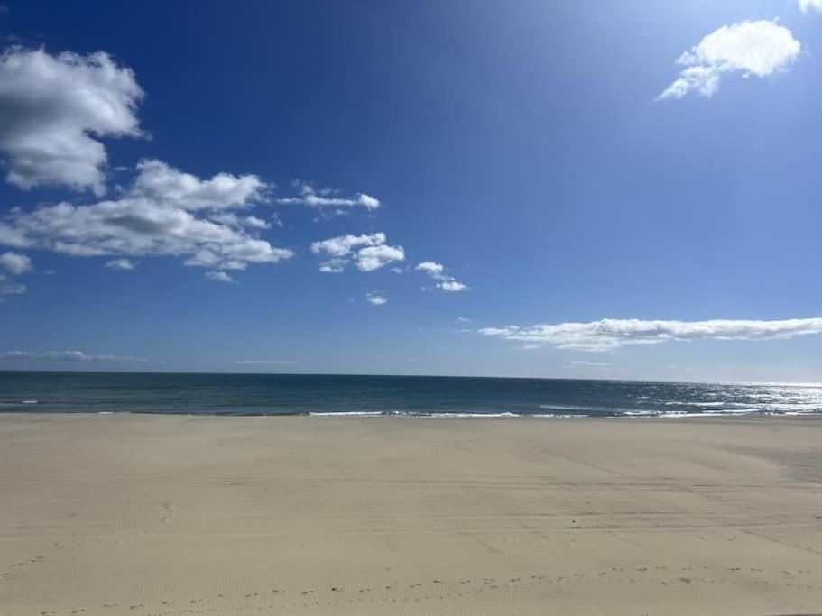 Superbe T2 Vue Mer, Clim, Parking Gratuit Canet-en-Roussillon Eksteriør billede